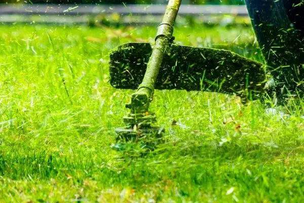 Read more about the article The Best Walk Behind String Trimmer in 2021