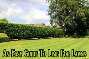 Lime for lawns: an easy guide to applying lime to your lawn