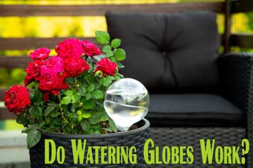 Do watering globes work?
