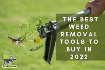 Best weed removal tools to buy in 2023