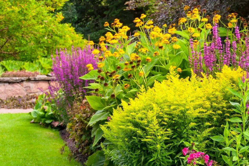 Thriving plants & hardiness zones: tips from landscapers