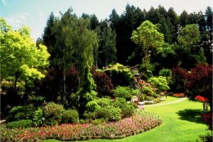 Thriving Plants & Hardiness Zones: Tips from Landscapers