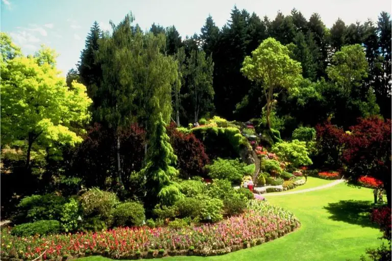 Read more about the article Thriving Plants & Hardiness Zones: Tips from Landscapers