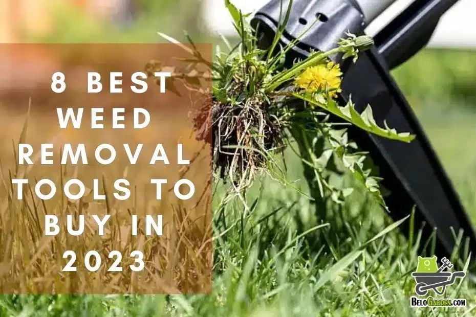 8 best weed removal tools to buy in 2023 | guide and types explained