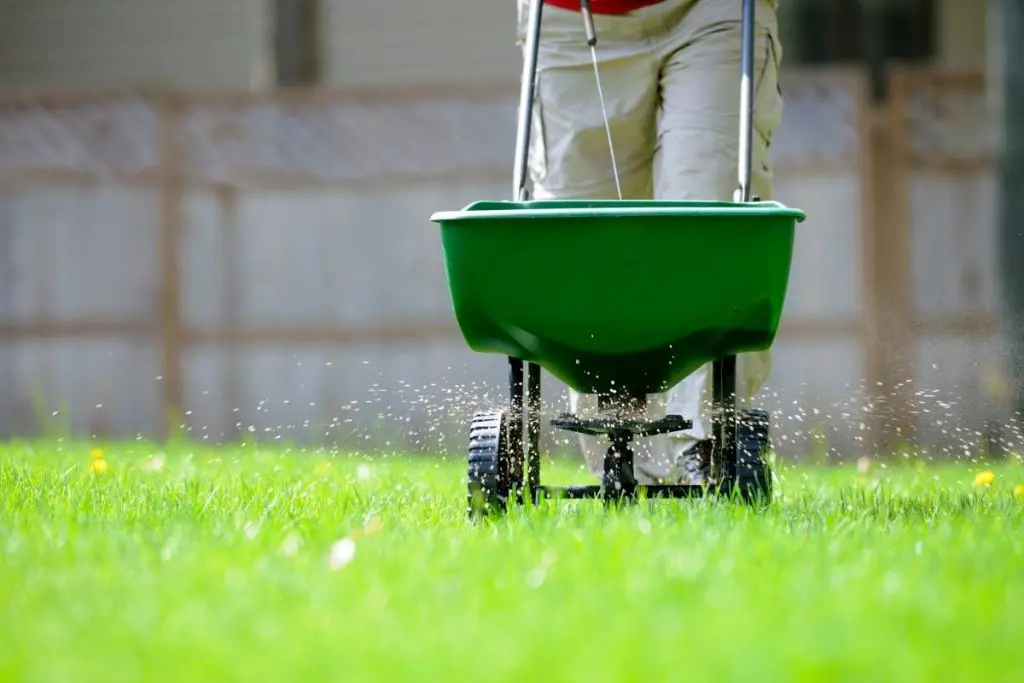 How much fertilizer should i use on my lawn