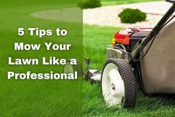Mow your lawn like a professional