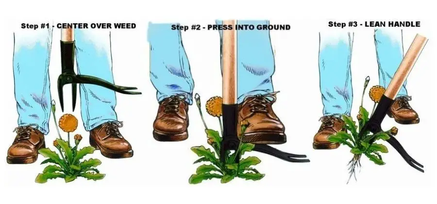 Best weed removal tool