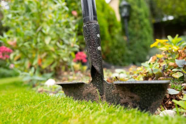 A guide to best manual lawn edger