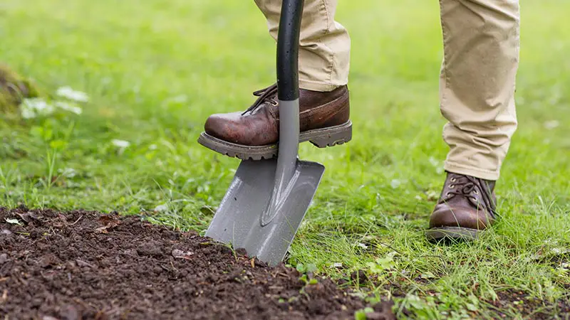Manual tilling soil the hard way