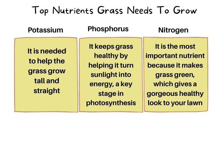 3 top nutrients grass needs to grow