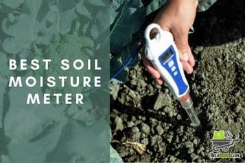 Best soil moisture meter in 2023