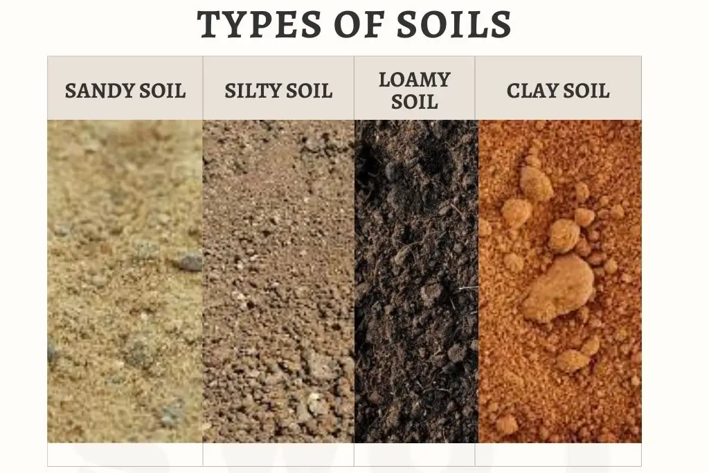 Soil a heterogeneous mixture
