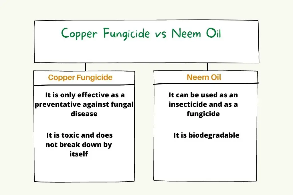 Copper fungicide vs. Neem oil