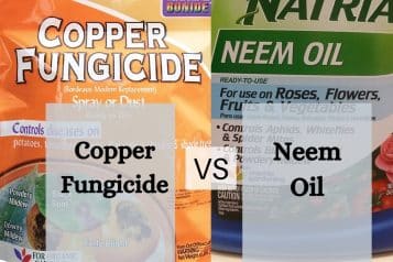 Copper fungicide vs. Neem oil - which is the better option?