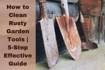How to clean rusty garden tools