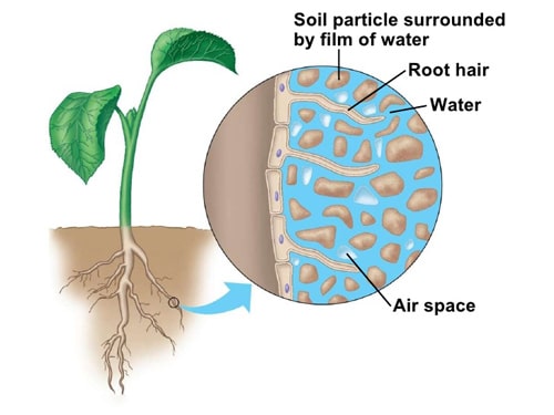 Is soil a heterogeneous mixture? All you need to know