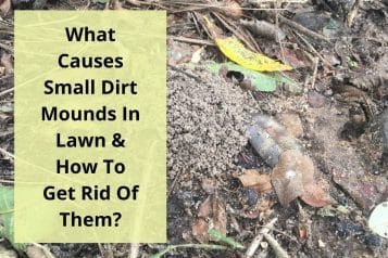 What causes small dirt mounds in lawn & how to get rid of them?