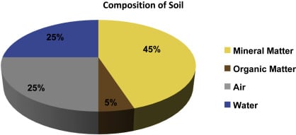 Is Soil A Heterogeneous Mixture? All You Need To Know