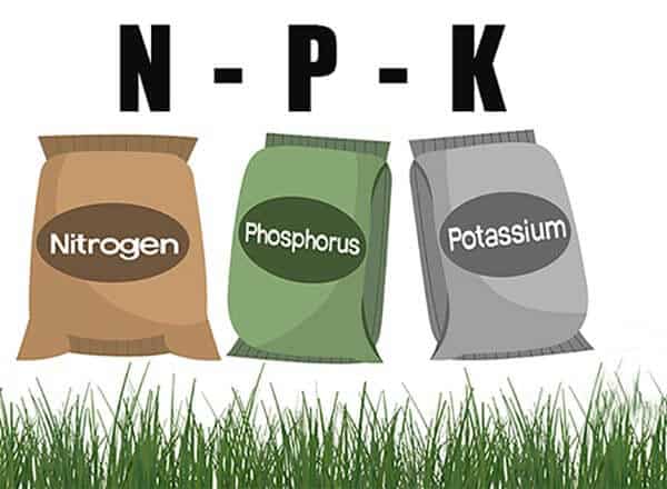 The power trio: discover the 3 nutrients grass needs to thrive