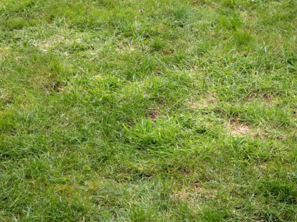 Do It Yourself Lawn Grading: How to Level a Yard By Hand