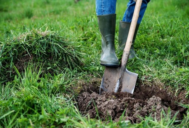 Do It Yourself Lawn Grading: How to Level a Yard By Hand - Belo Garden