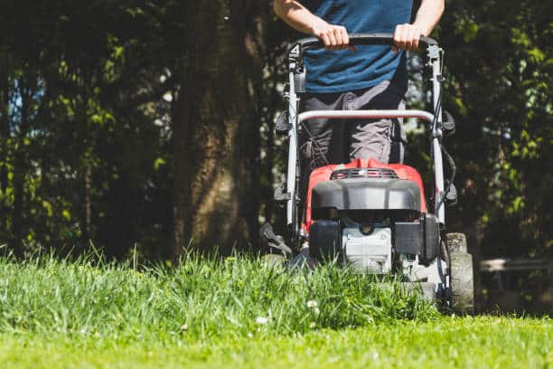 Tips to keep your grass green in the summer