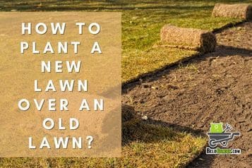 How To Plant A New Lawn Over An Old Lawn