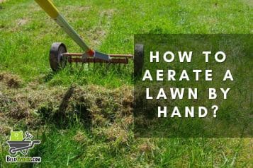 How to aerate a lawn by hand effectively?