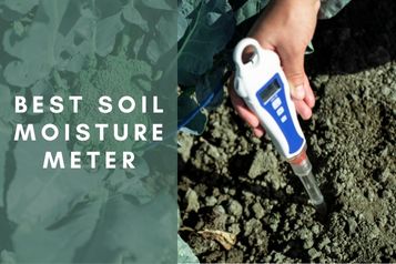 Best soil moisture meter in 2022