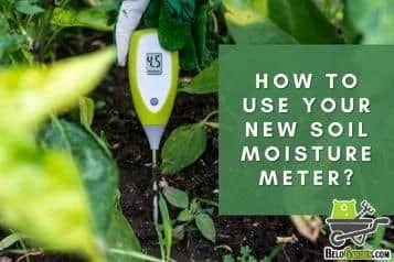 How to use your new soil moisture meter in 4 easy steps