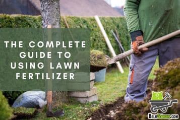 The Complete Guide to Using Lawn Fertilizer