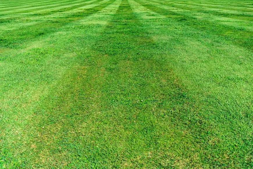 How to aerate a lawn by hand