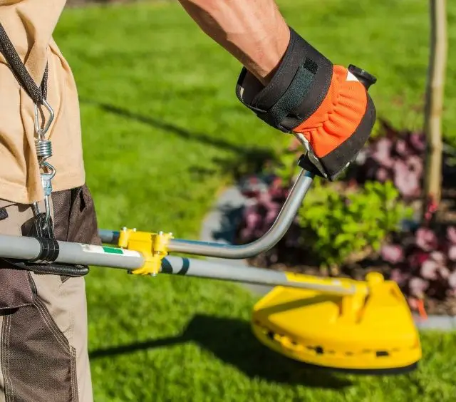 How to Use String Trimmer
