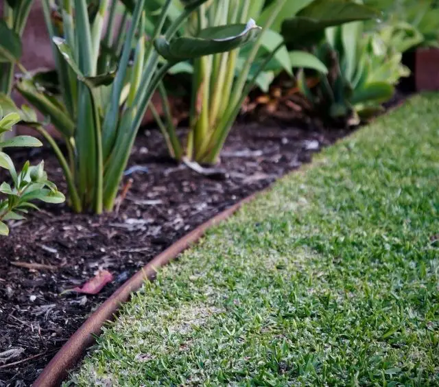 How to use string trimmer