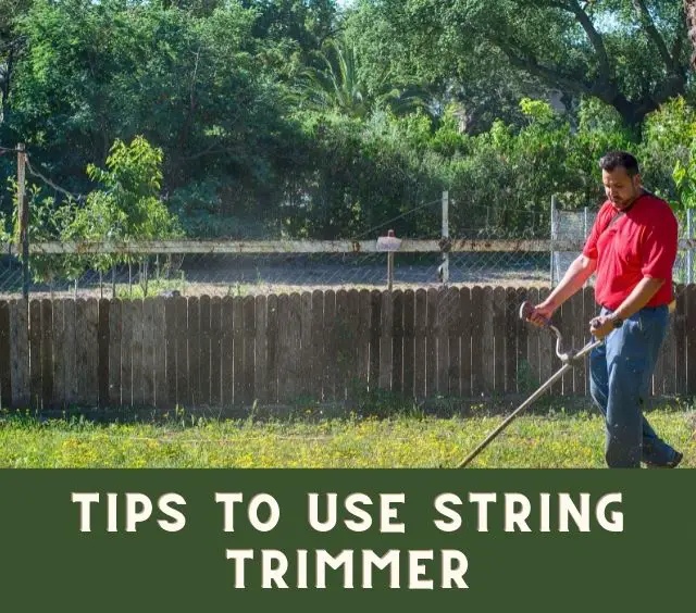 How to Use String Trimmer