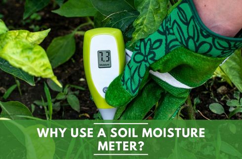 Why use a soil moisture meter?