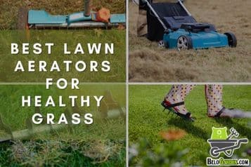 7 best lawn aerators for healthy grass