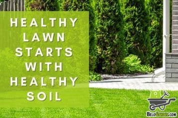 A healthy lawn starts with healthy soil