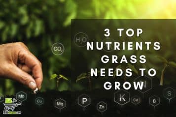 3 top nutrients grass needs to grow
