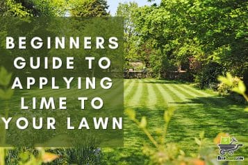 Lime for lawns: a beginners guide to applying lime to your lawn