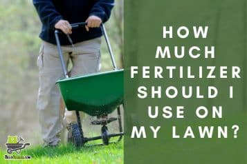 The fertilizer formula: how much is just right for your lawn?