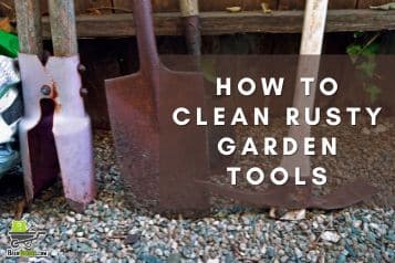 How to clean rusty garden tools | 5-step effective guide