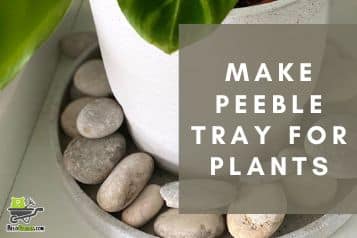 How to make a pebble tray for plants