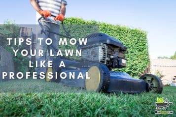 5 tips to mow your lawn like a professional ‎