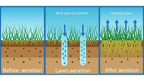Types of aeration