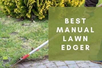 7 Best Manual Lawn Edger in 2023