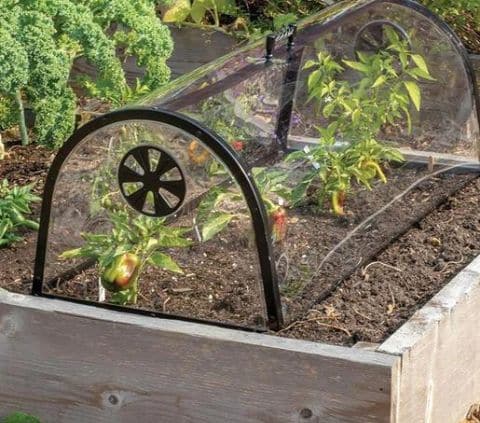 6 best cloches for your garden