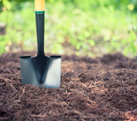 12 best tools to install turf