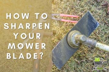 How to sharpen your mower blade? | 6 easy & safe steps