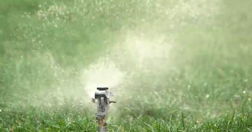 Best sprinkler heads in 2022